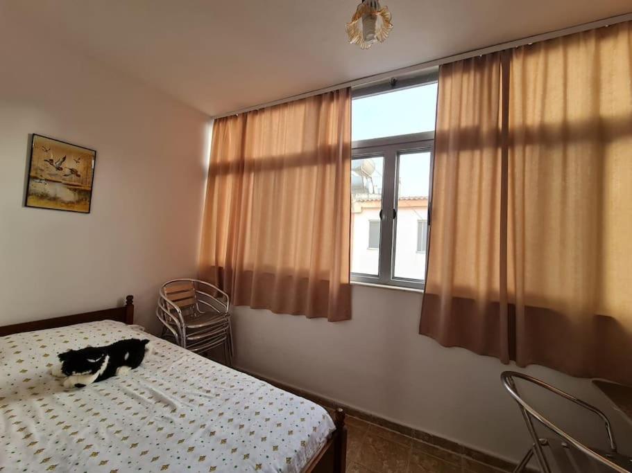 Beach Apartment photo 4