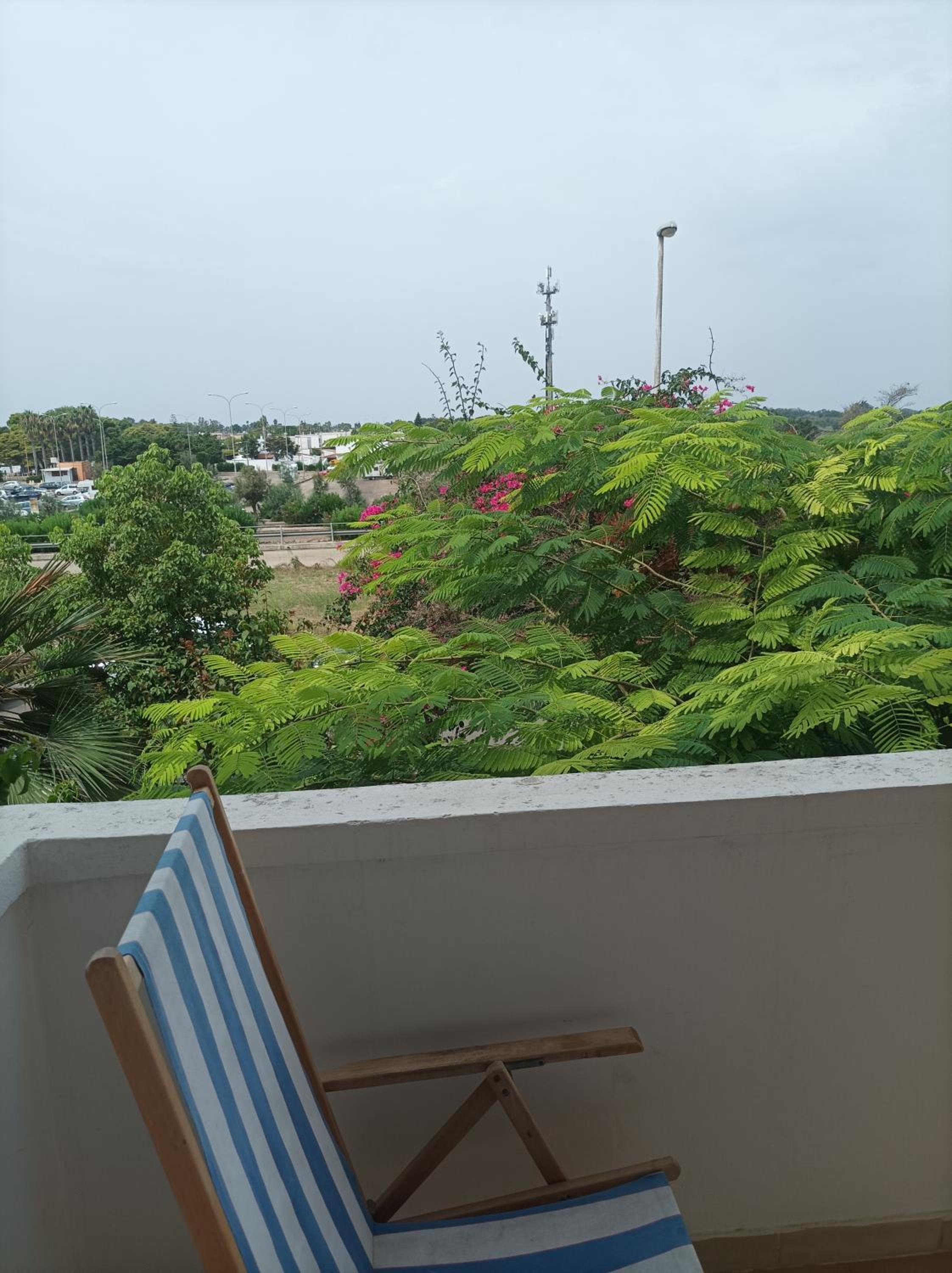 Photo 40
