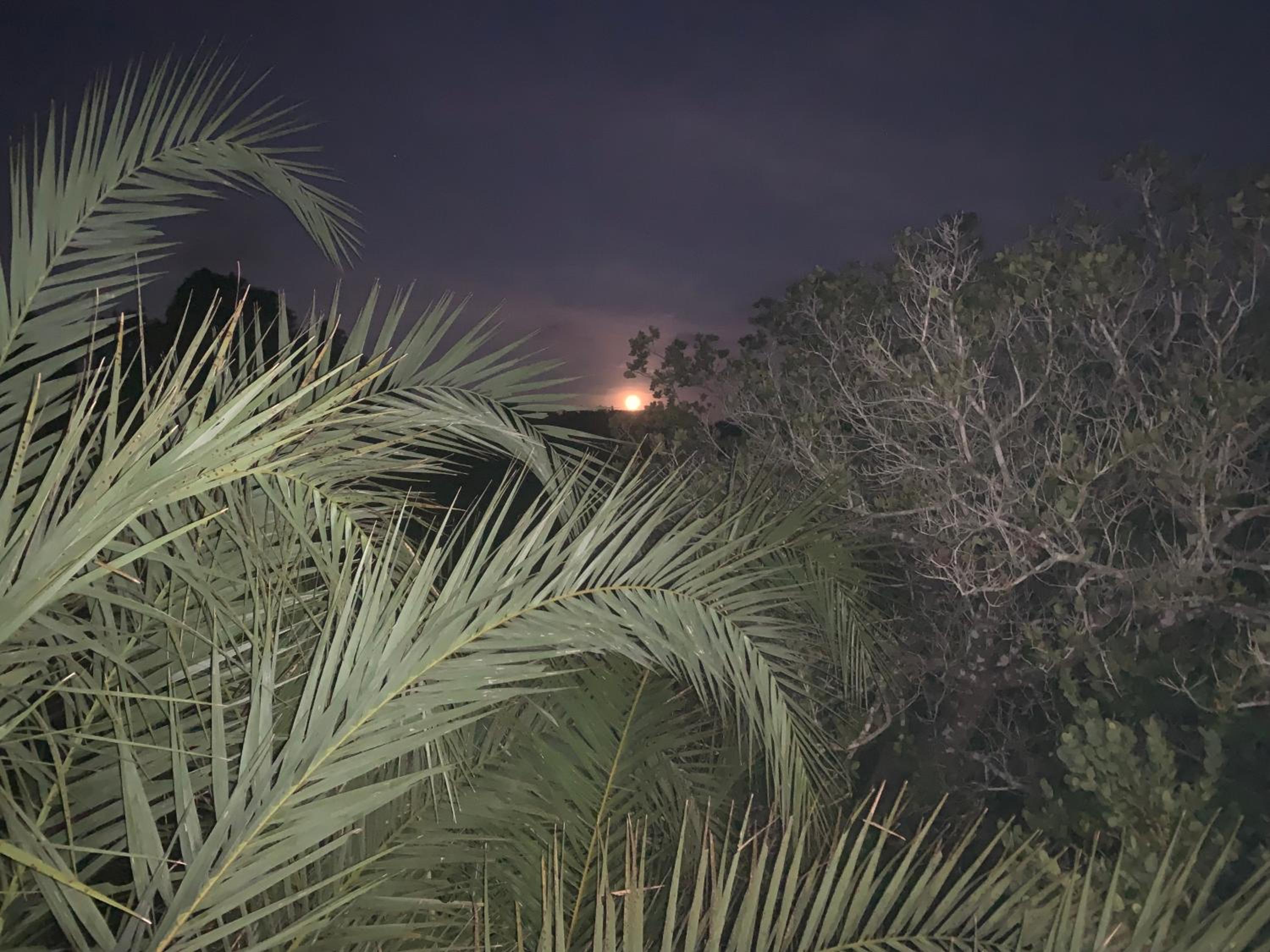 Lunamanzi Lodge