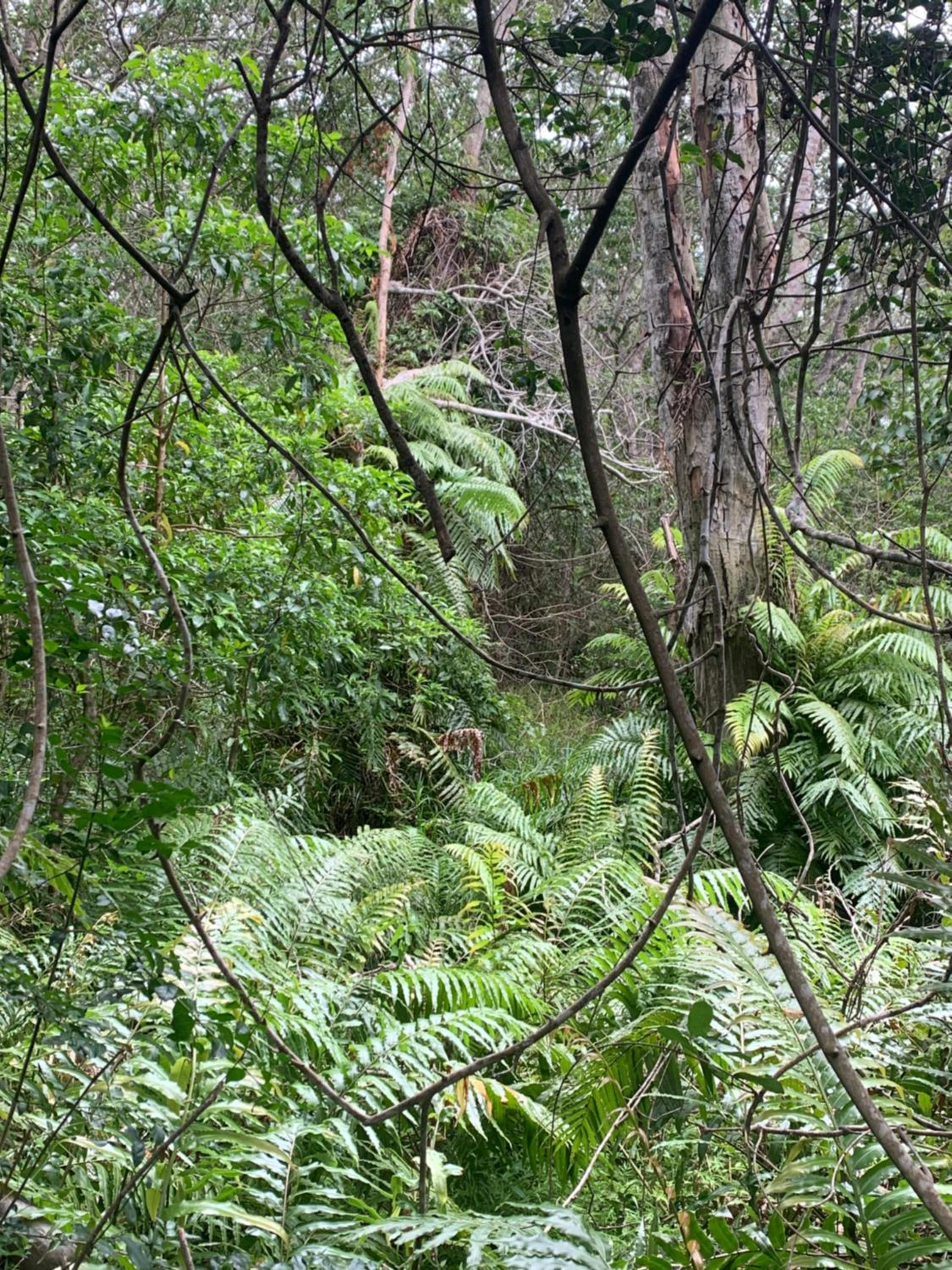 Lunamanzi Lodge