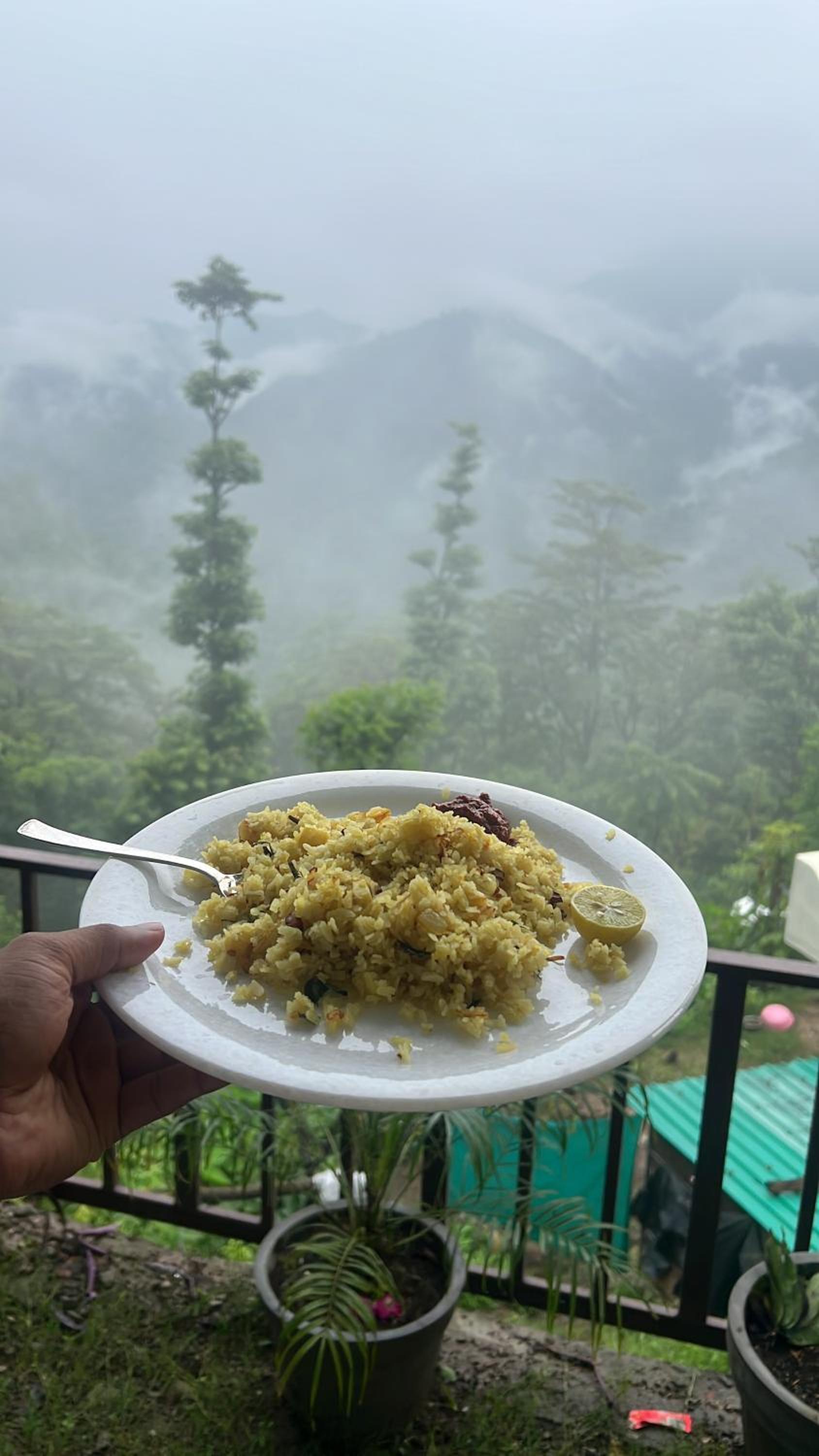Kyarki Ganga Homestay & Cafe view 5