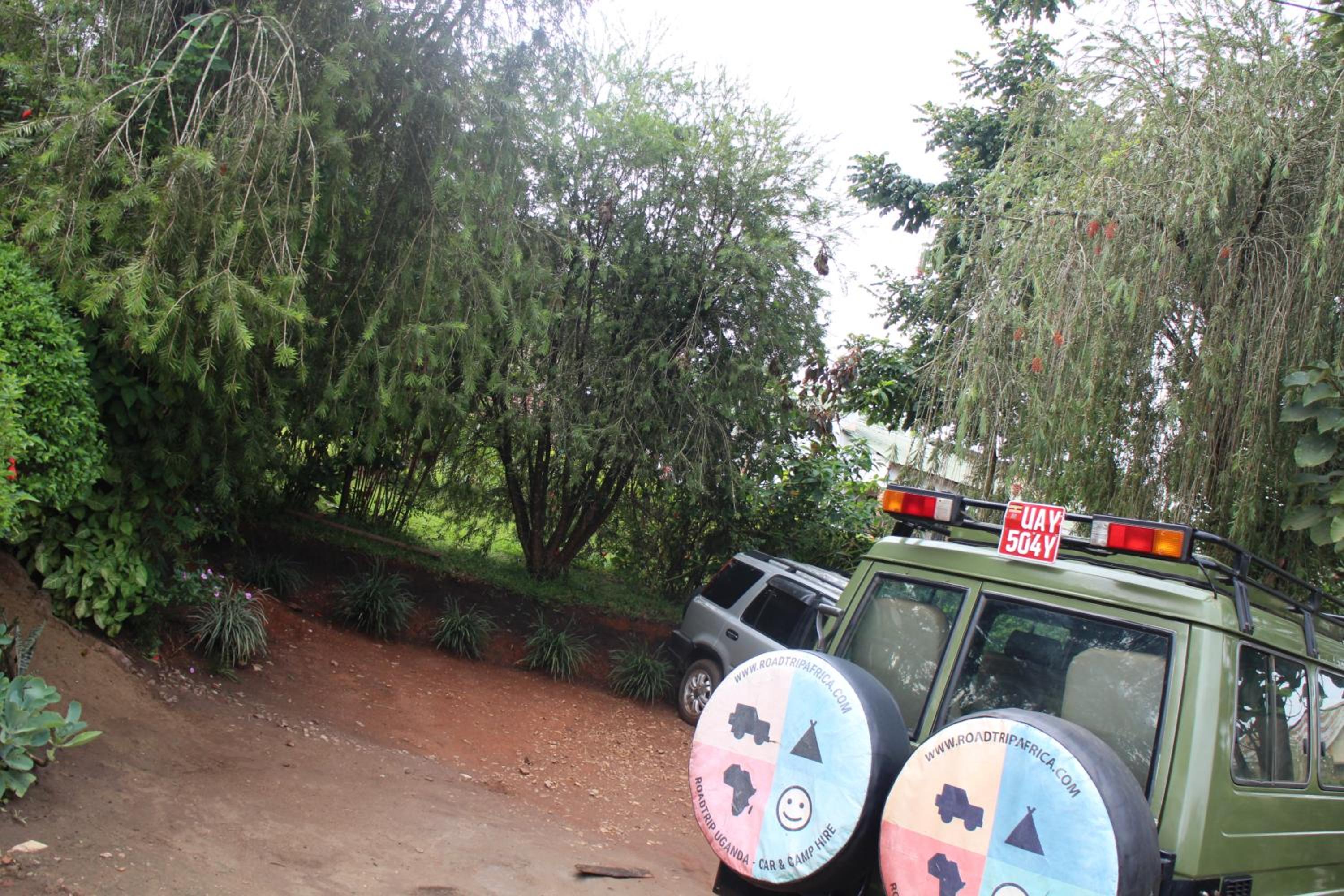 Photo 21
