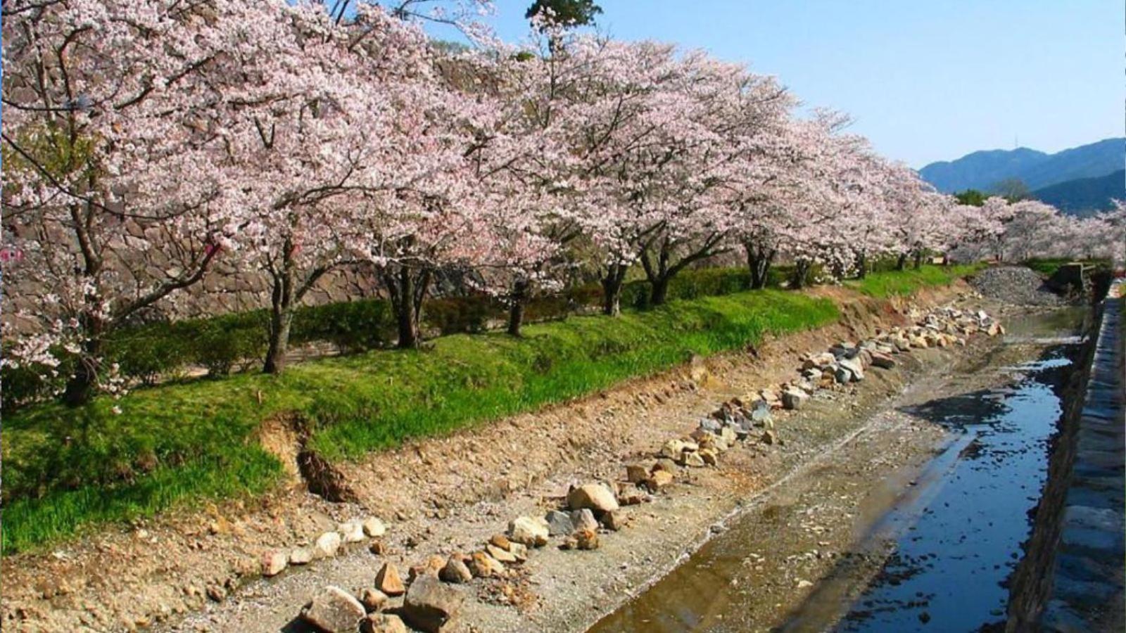 NIPPONIA Sasayama Castle Town Hotel