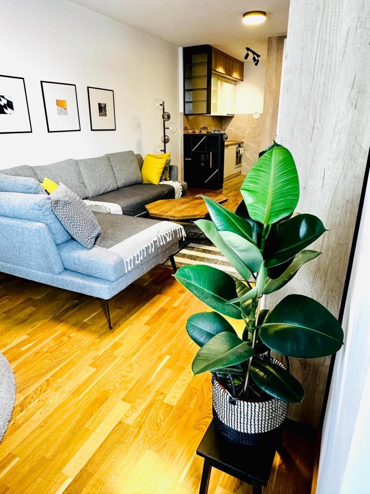 Tower Seven Apartment