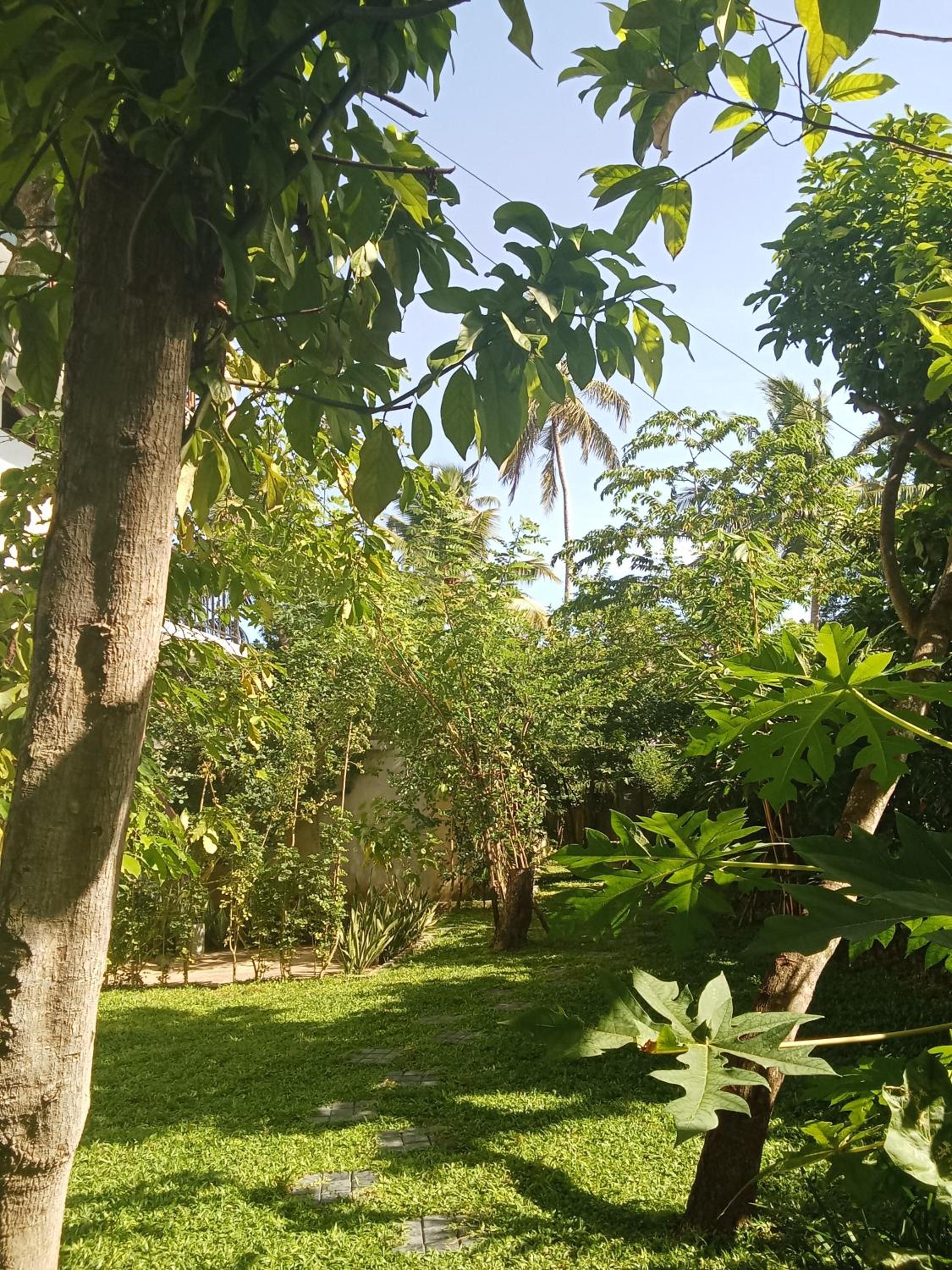 Serenity Lodge