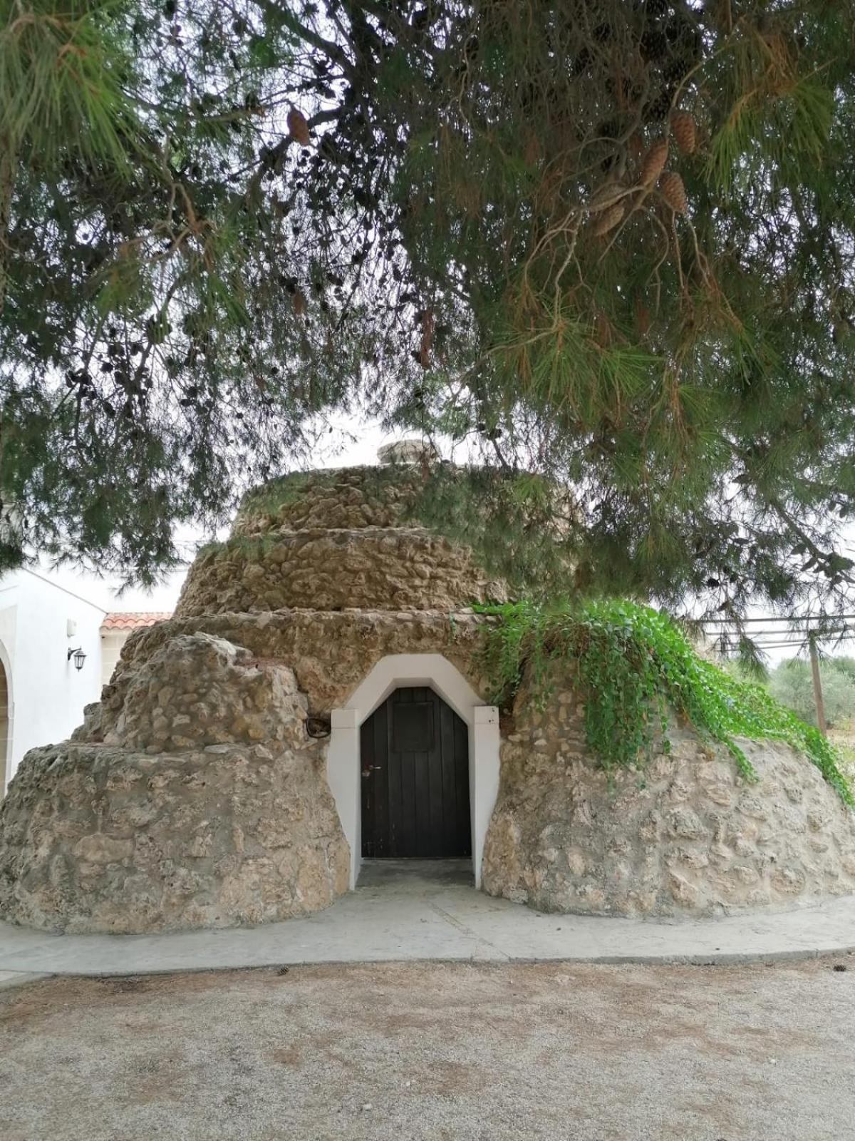 Photo 46