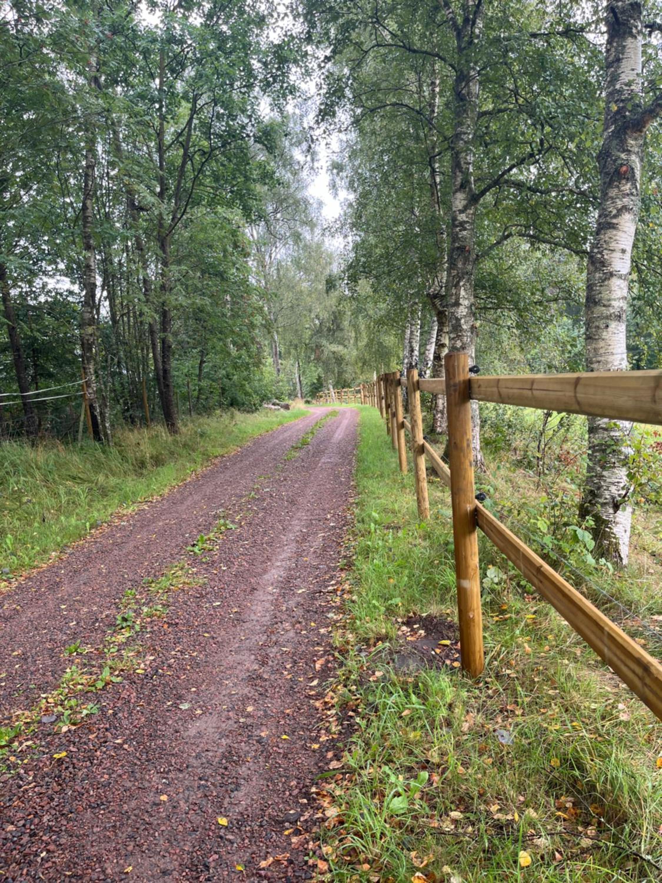Lugnet