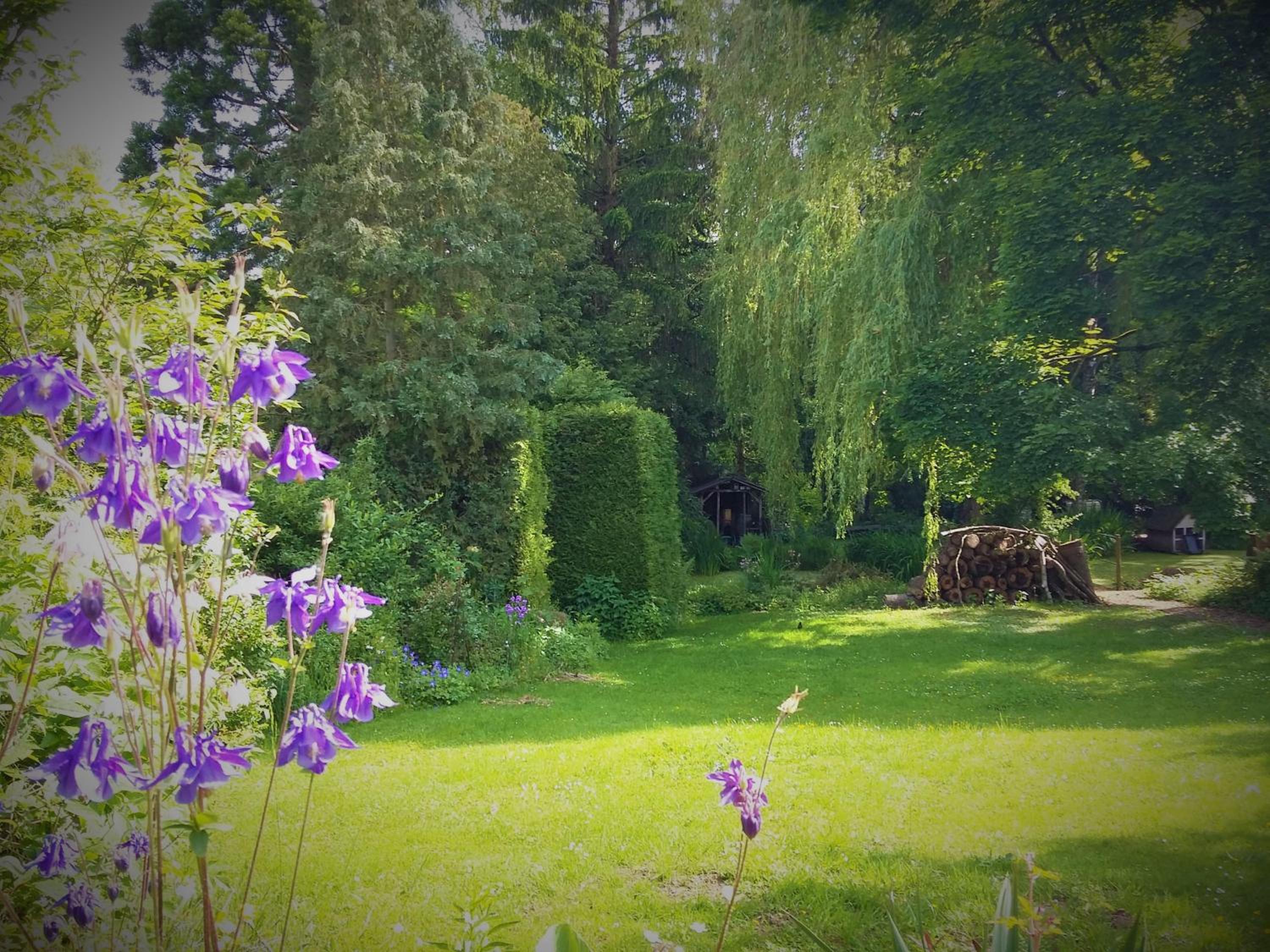 Ferienhaus Glücksnest