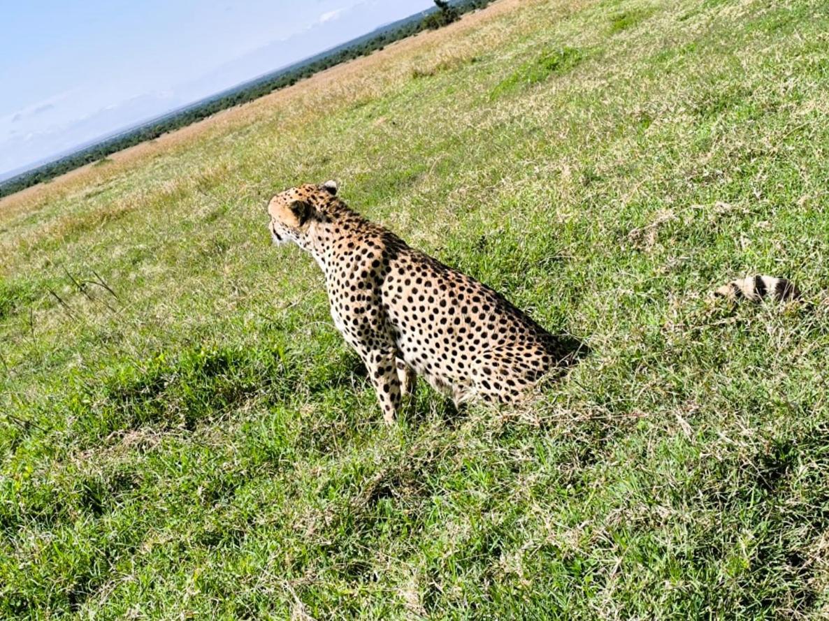 Enkai Farmhouse near Ol-Pejeta Nanyuki view 2