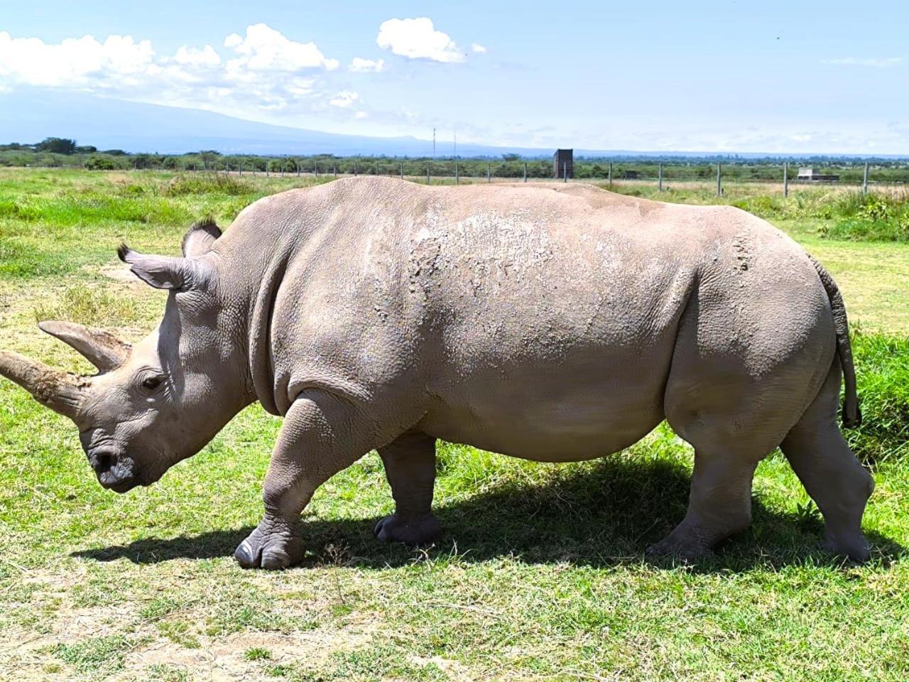 Enkai Farmhouse near Ol-Pejeta Nanyuki view 3