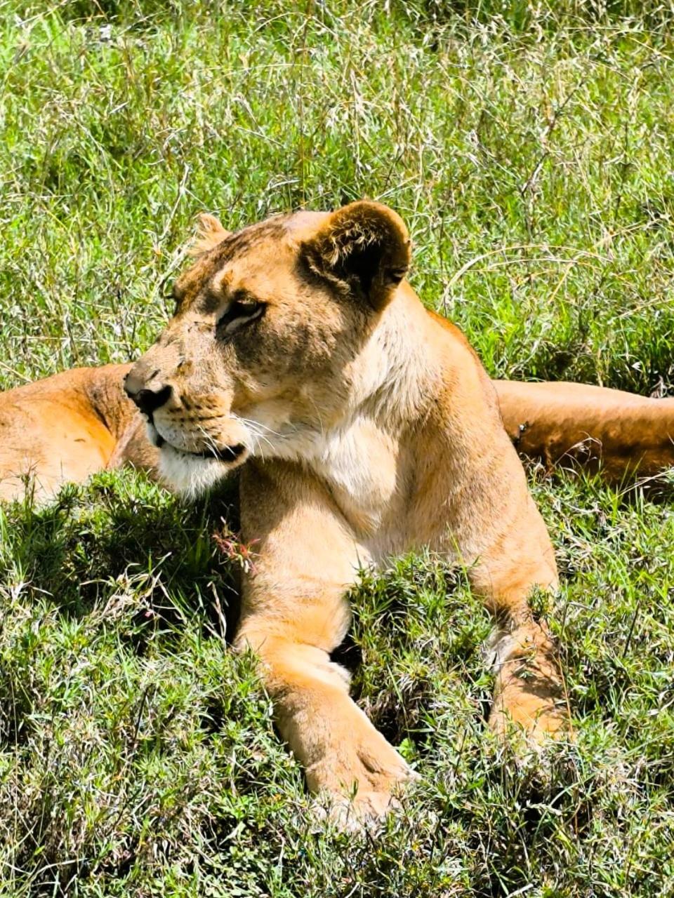 Enkai Farmhouse near Ol-Pejeta Nanyuki view 4