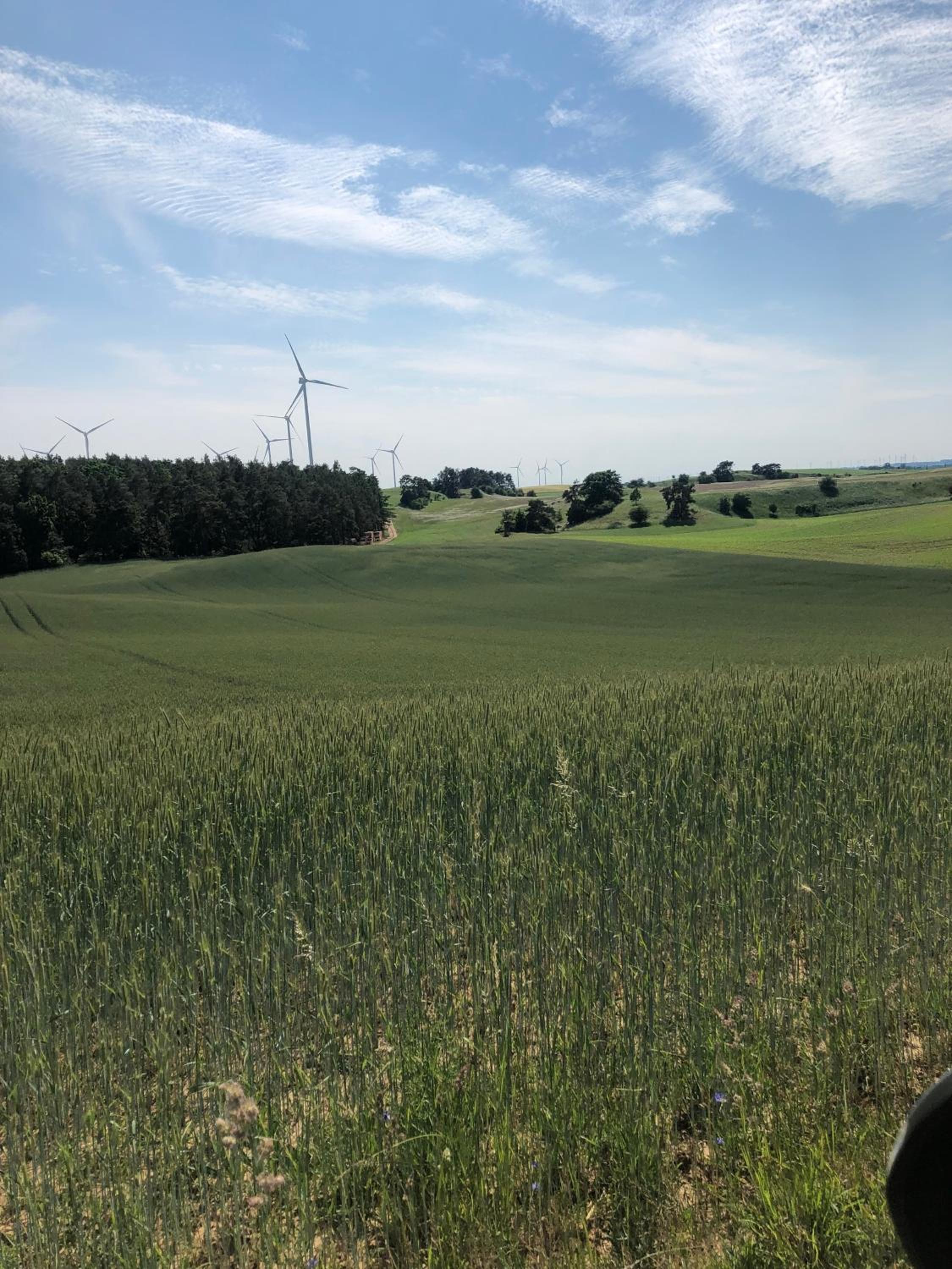 Ferienwohnung auf dem Land Wiesenblick Sonnenberg Grambow