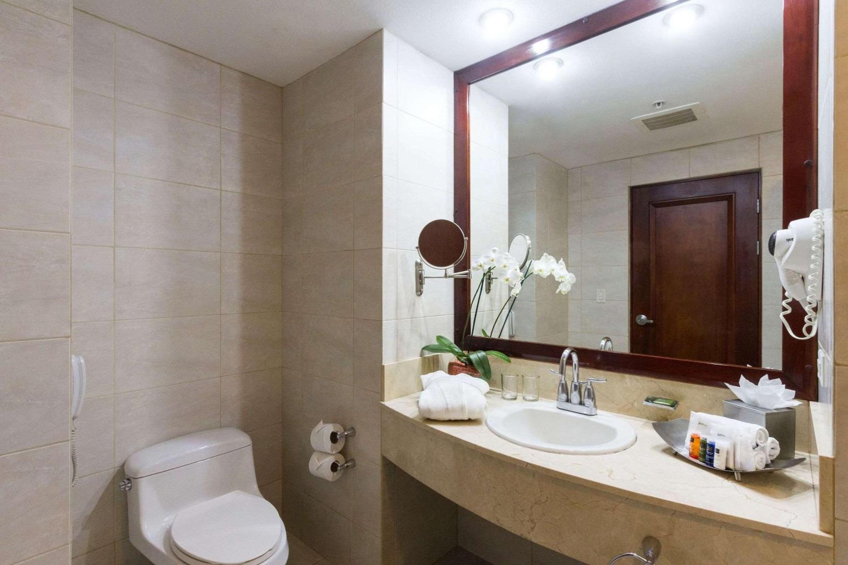 Radisson San Jose-Costa Rica - Property Image 5