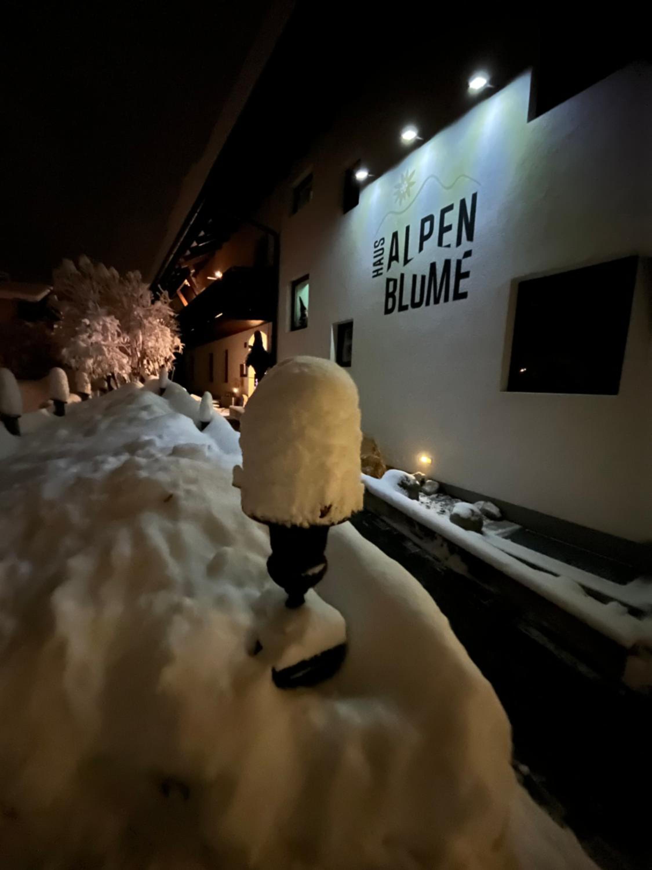Haus Alpenblume