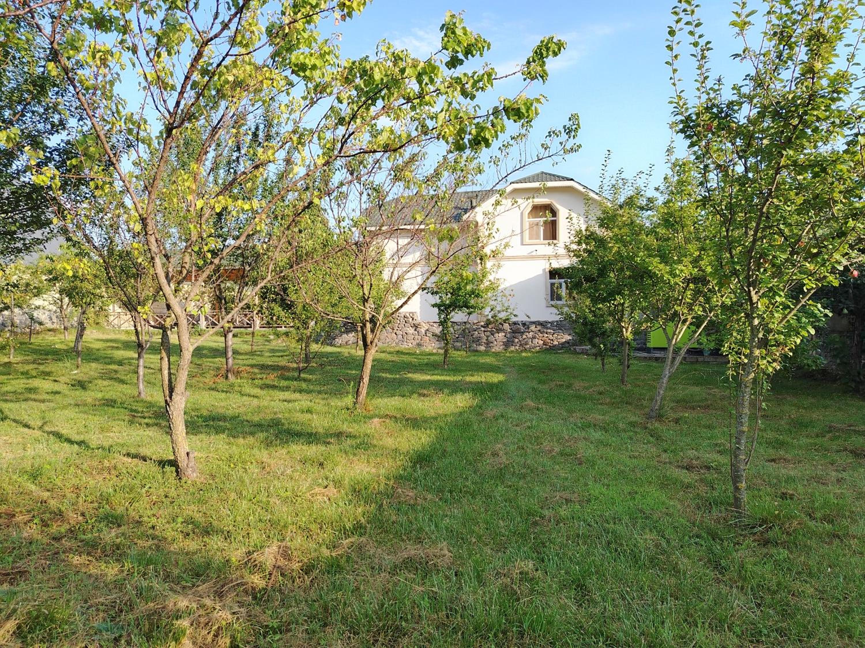 Təbiət huzur