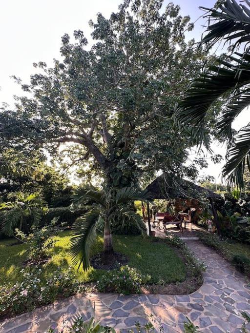 Villa Leeven mit privatem Pool am Diani Beach