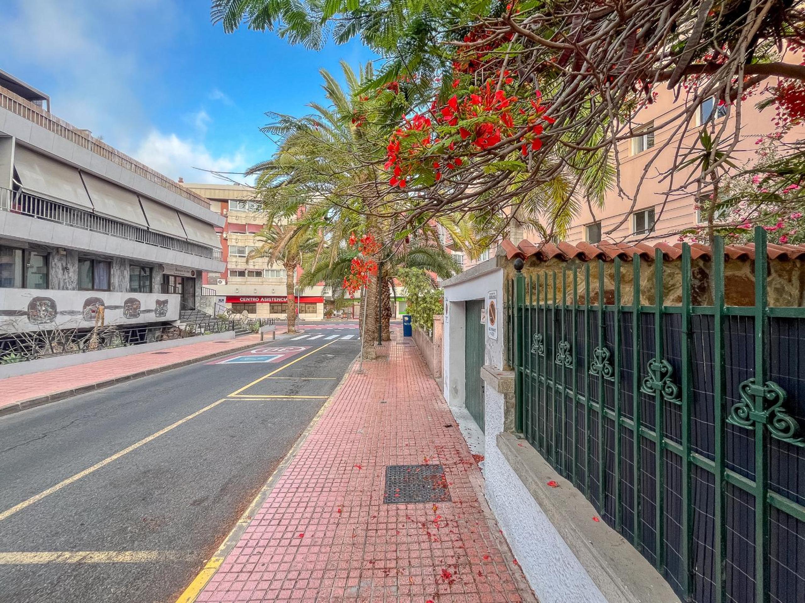 The Red House - 3BR with Private Terrace view 4