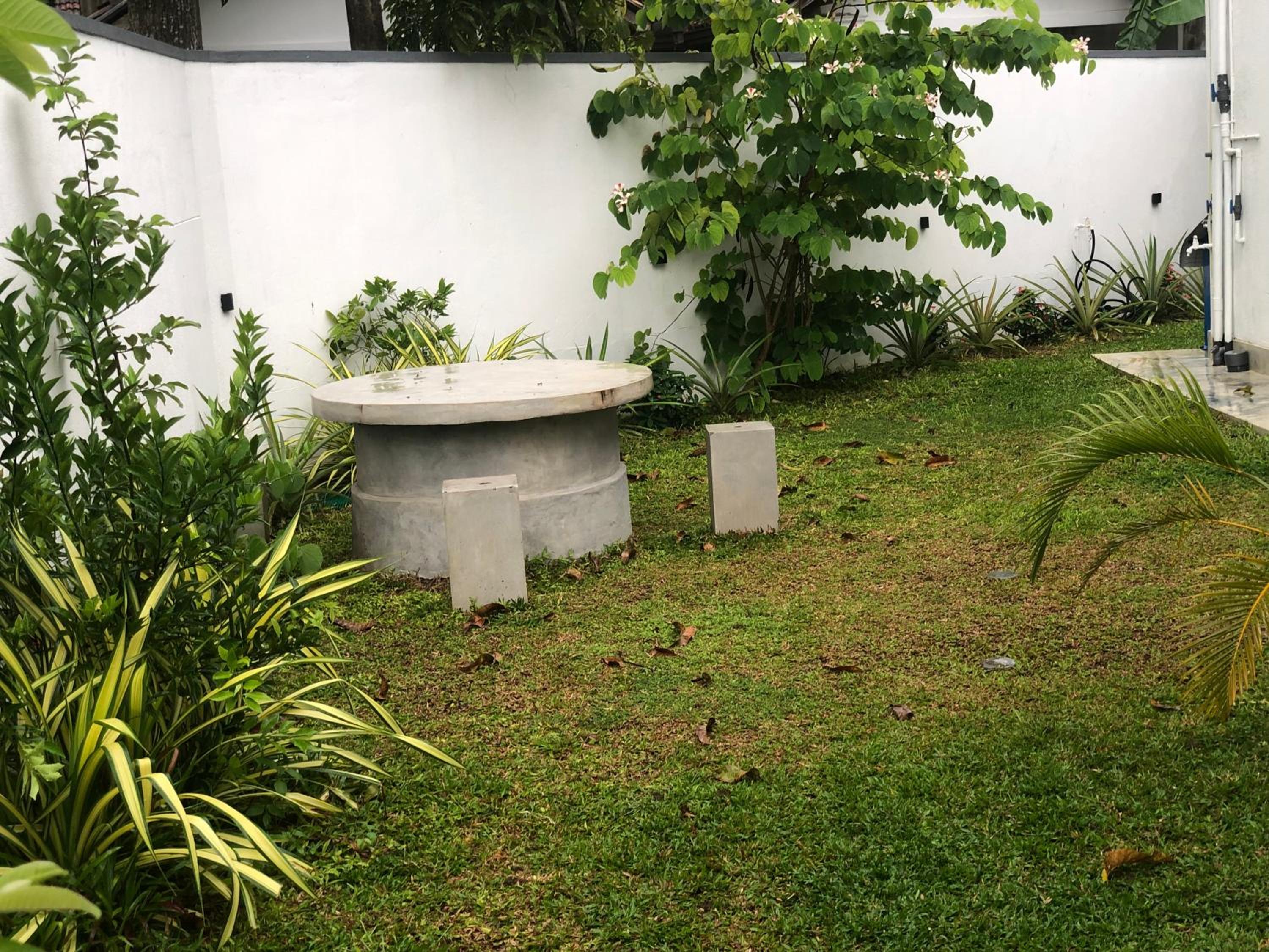 Photo 46