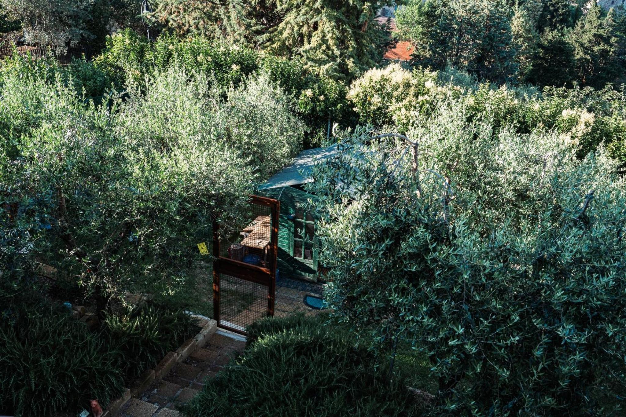 Agriturismo Panthea - Appartamenti Herbalia - Floralia view 5