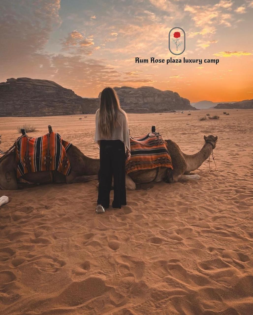 RUM MARS VALLEY BUBBLE lUXURY CAMP