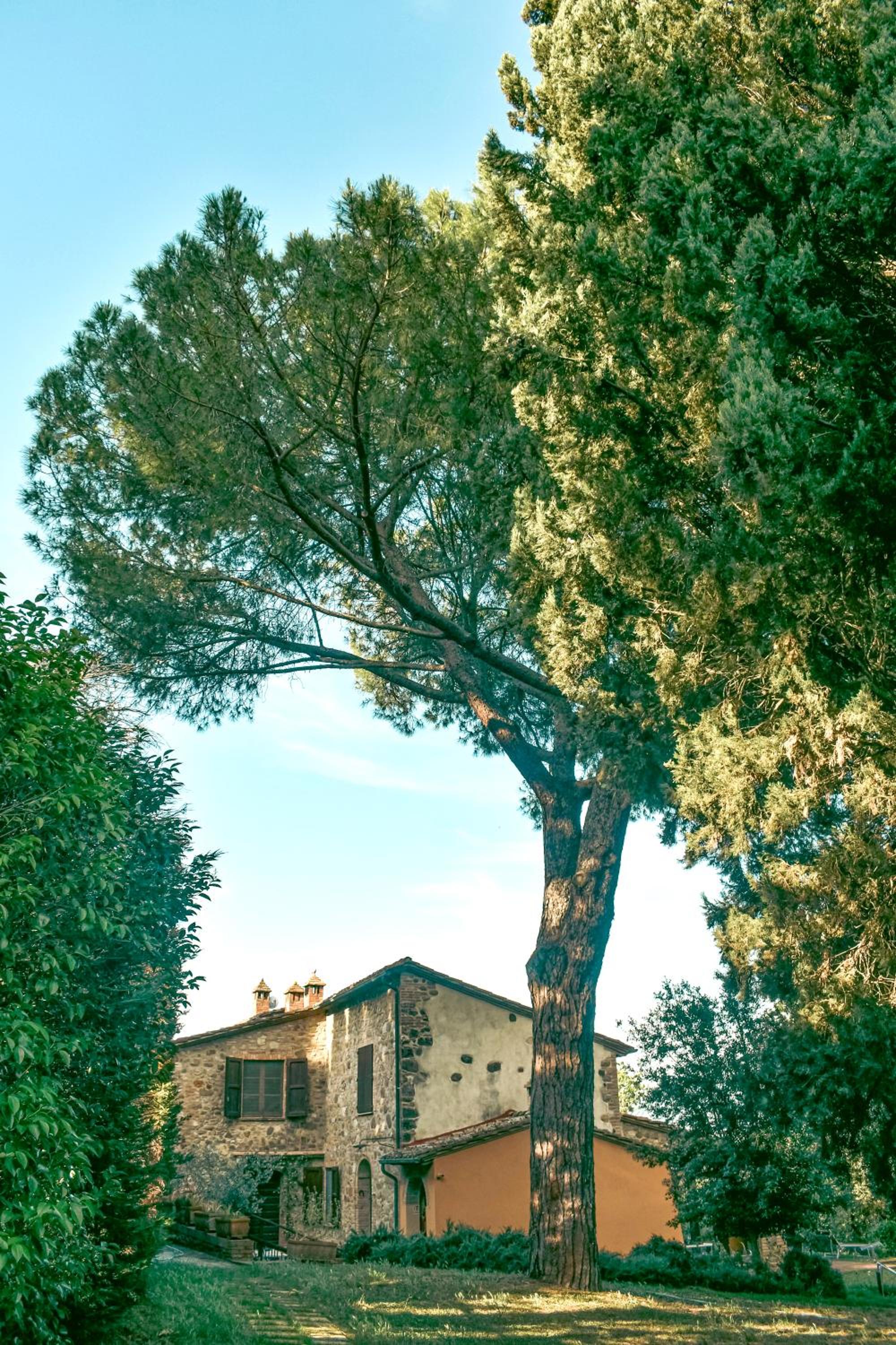 Photo 45