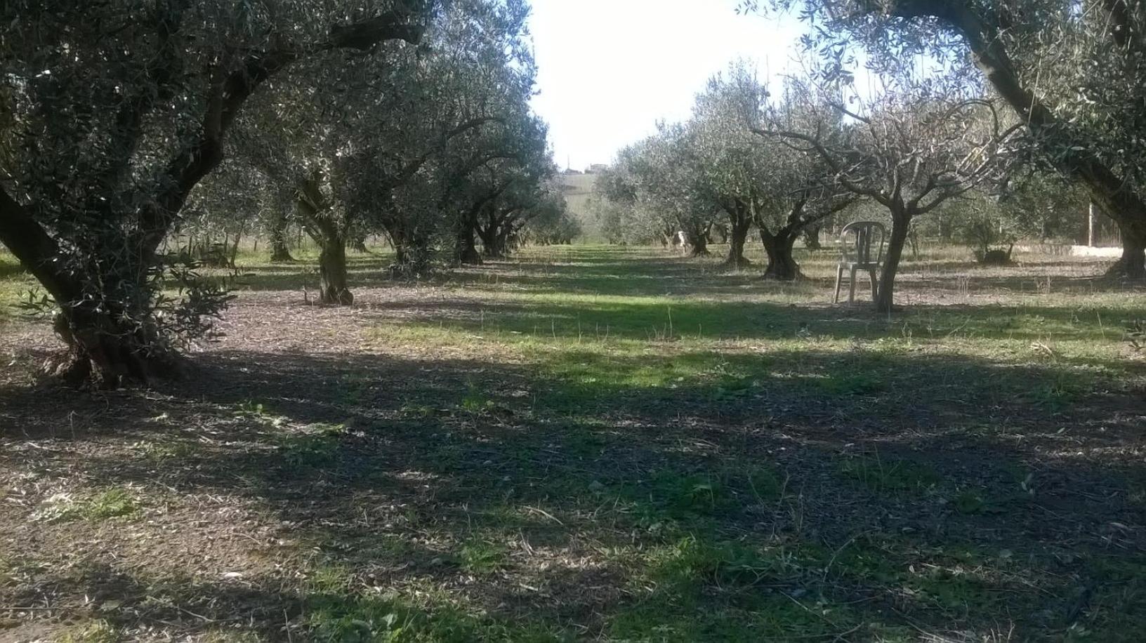 Photo 48