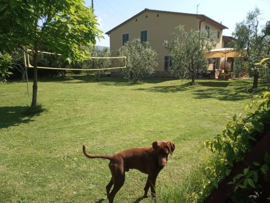 Appartamento Oliver
