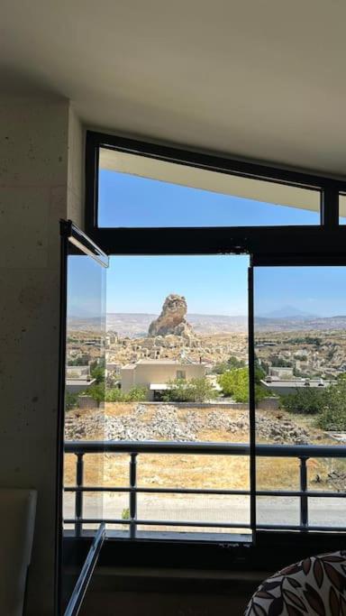 White Angel House view 5