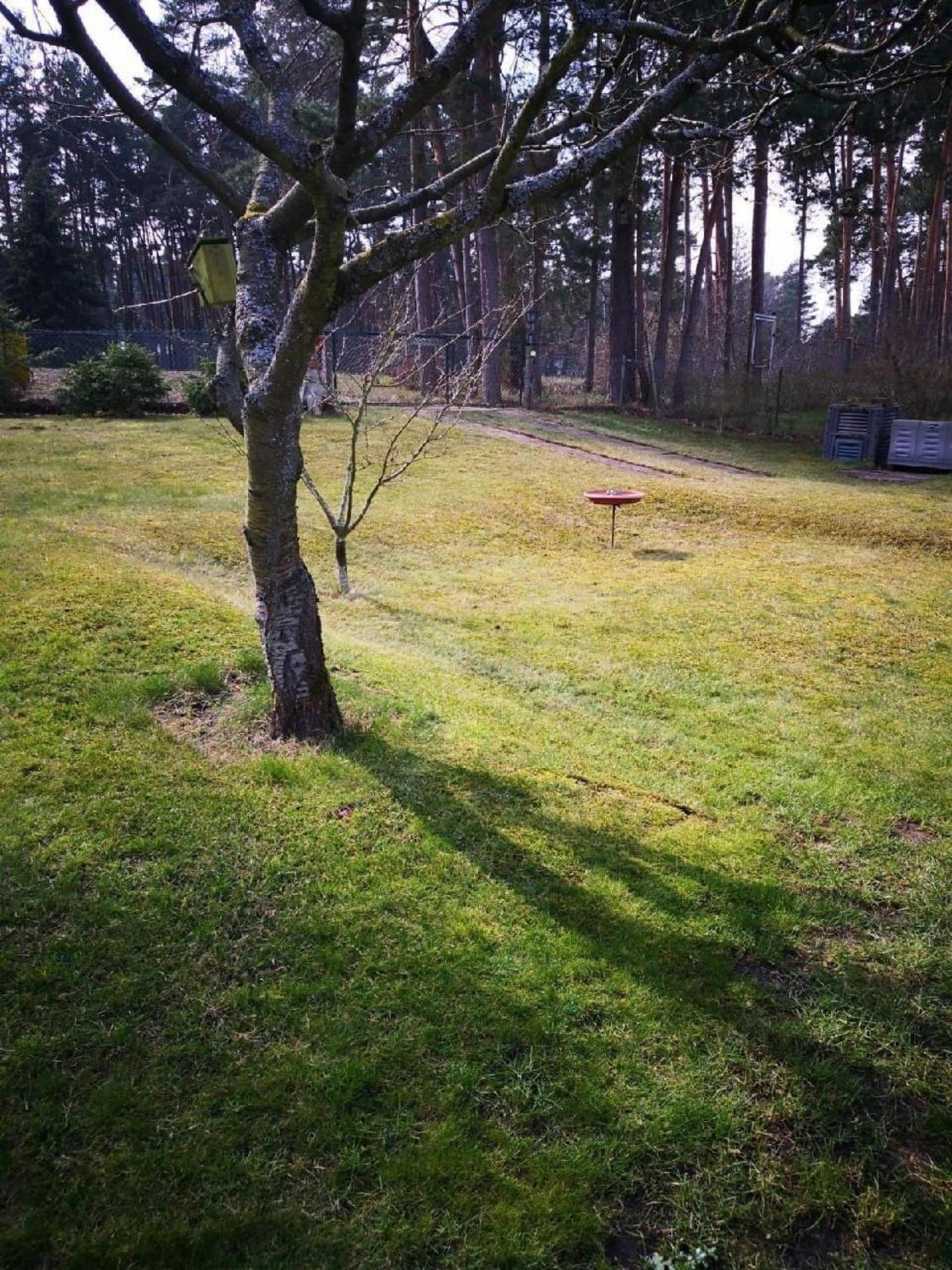Ferienhaus am Haff, Vierbeiner sind bei uns herzlich willkommen