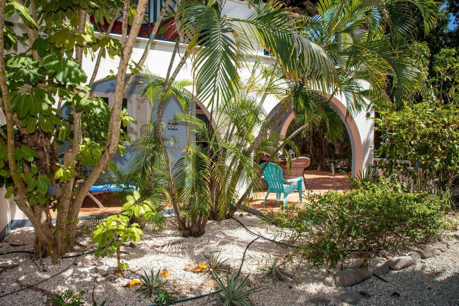 Windsock Caribbean Dream