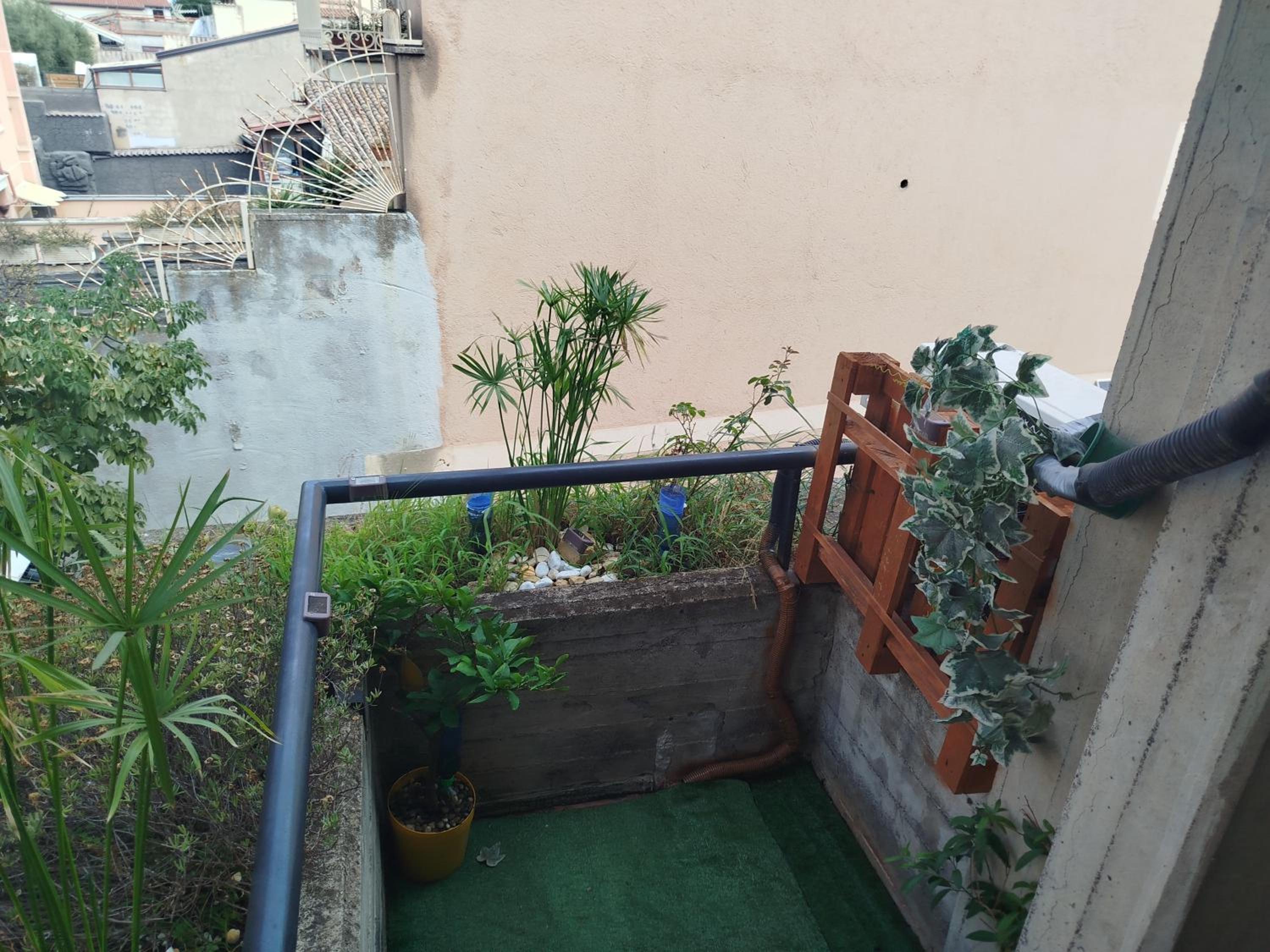 Casalicuti