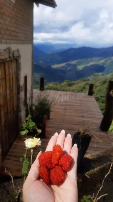 Chalé nas Alturas!