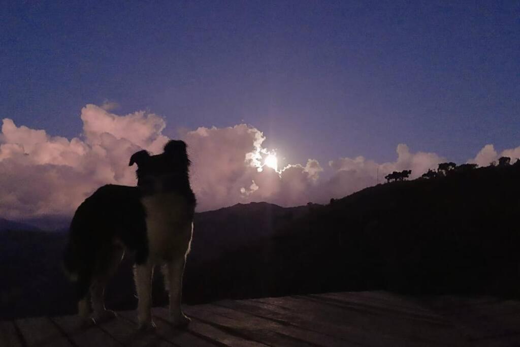 Chalé nas Alturas!