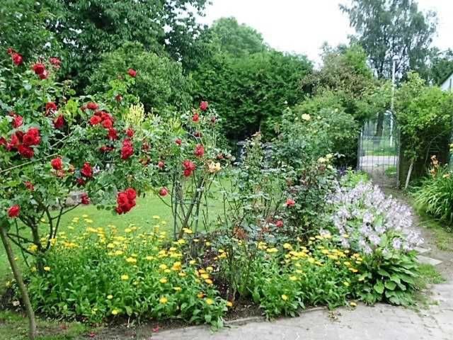 Rosenhof Ferienwohnungen