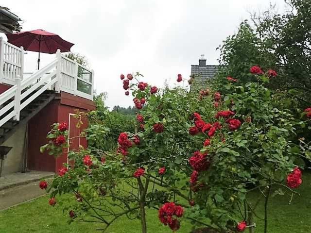 Rosenhof Ferienwohnungen