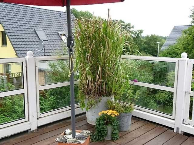 Rosenhof Ferienwohnungen