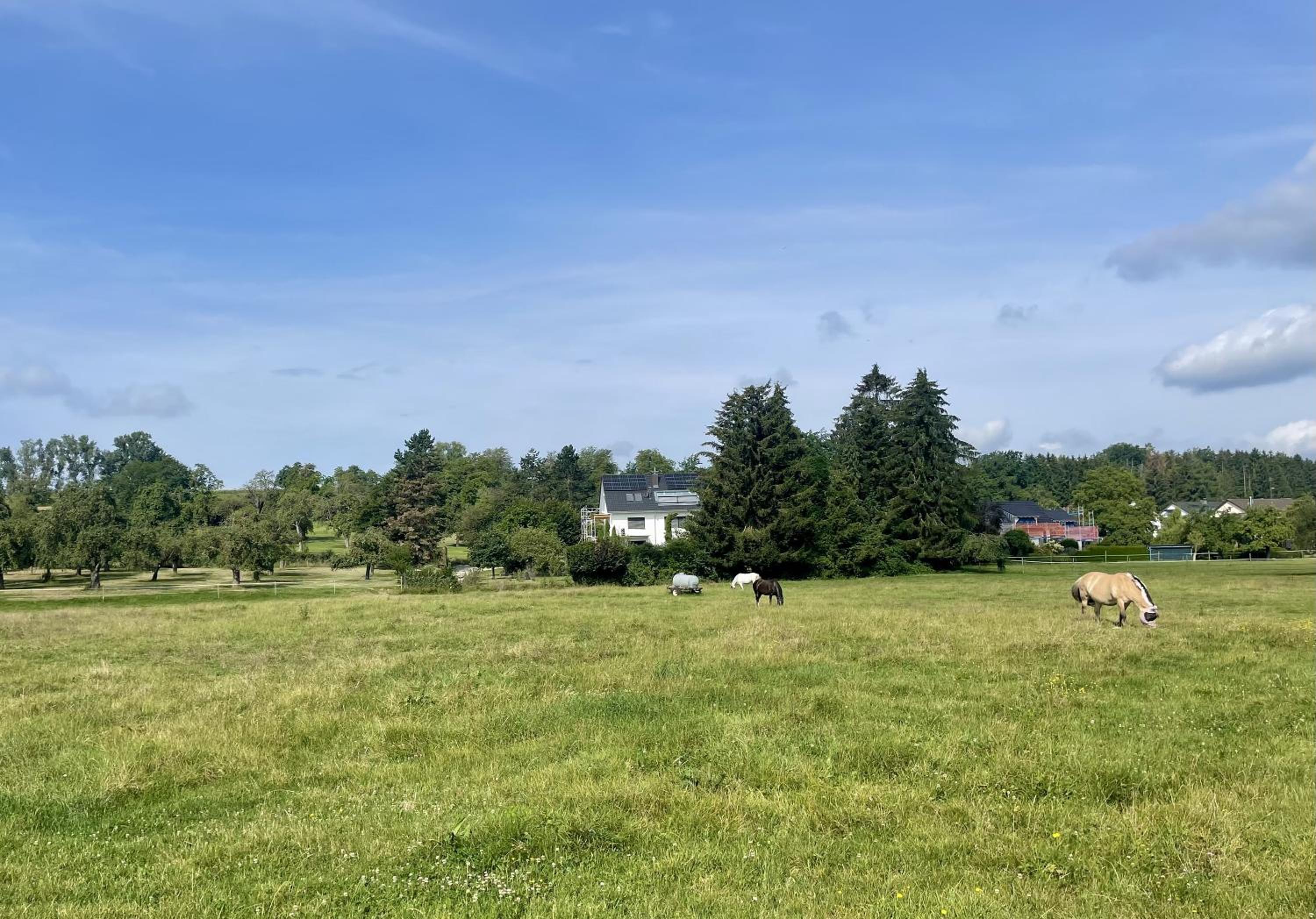 Studio im Grünen und Bodenseenähe