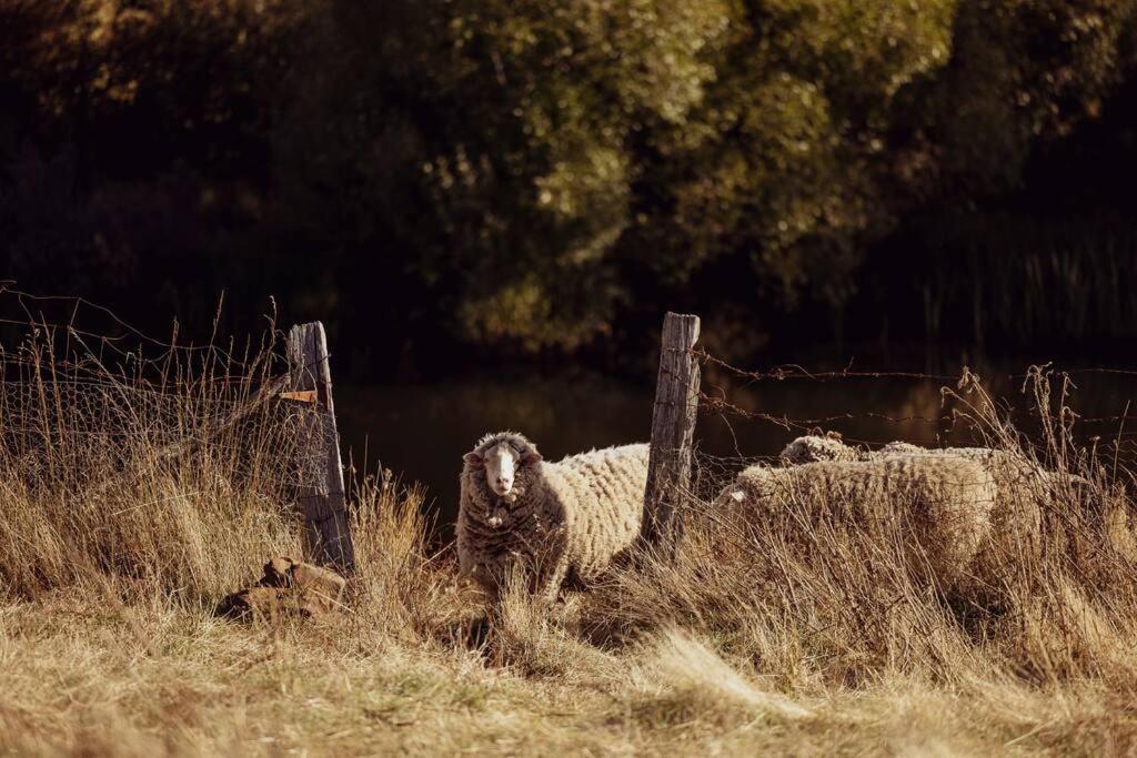 Luxury river cottage, gateway to the East Coast