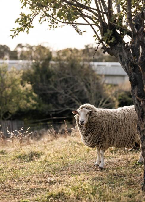 Luxury river cottage, gateway to the East Coast