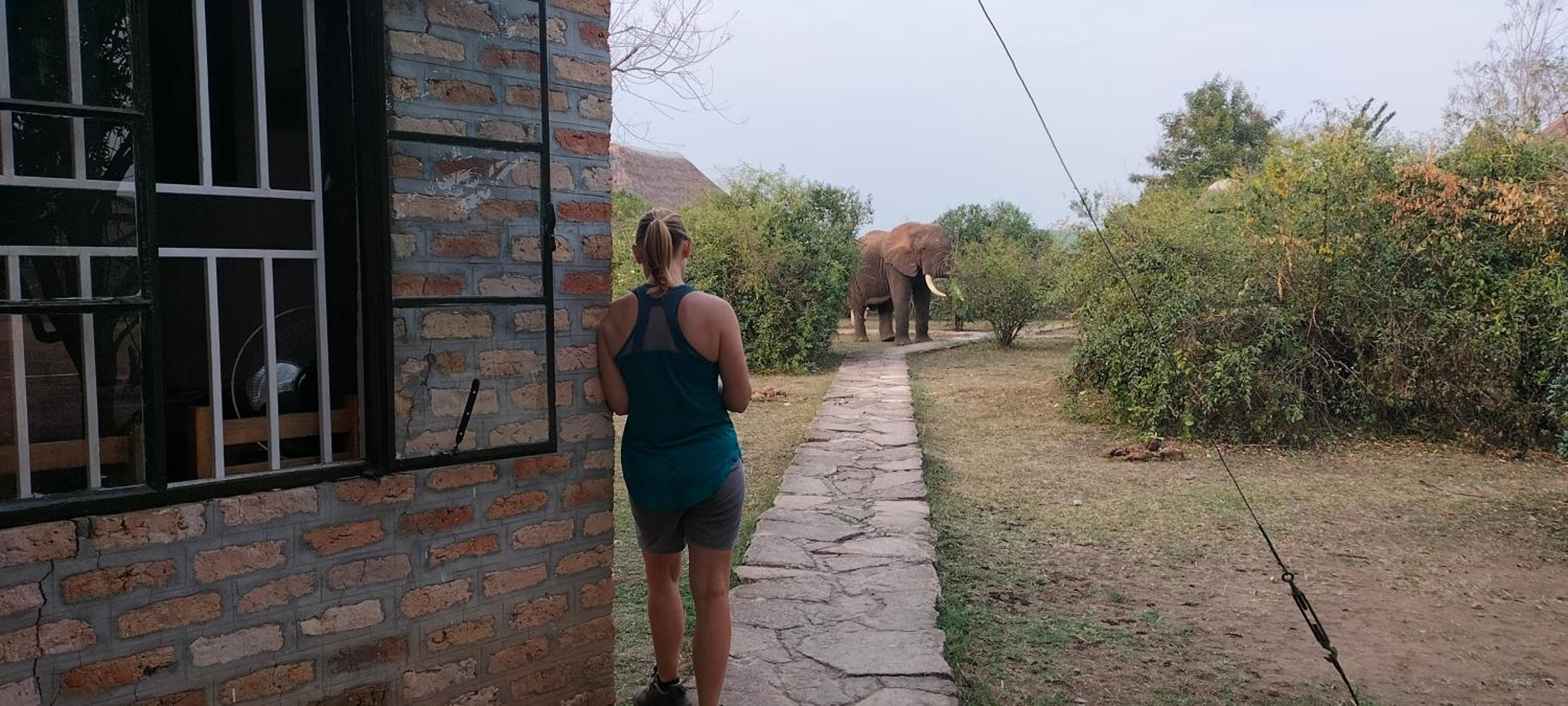 Engiri Game Lodge and Campsite