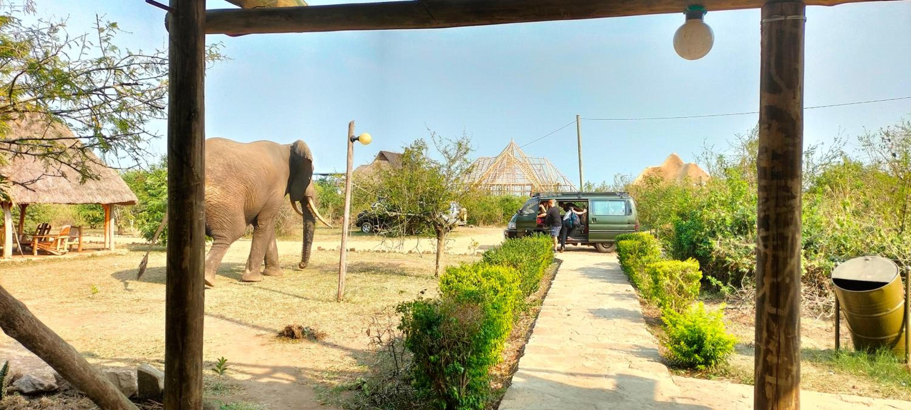 Engiri Game Lodge and Campsite