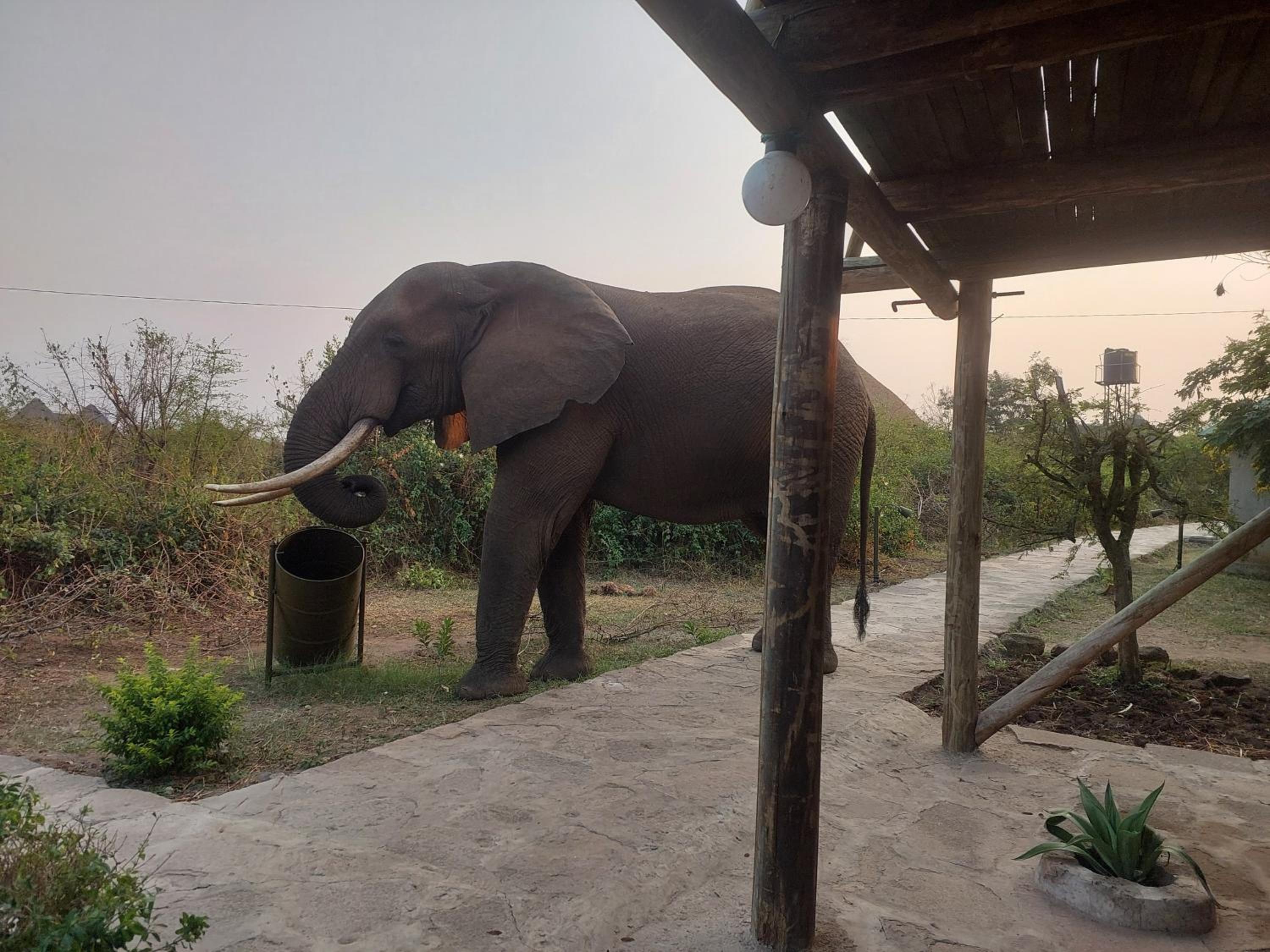 Engiri Game Lodge and Campsite