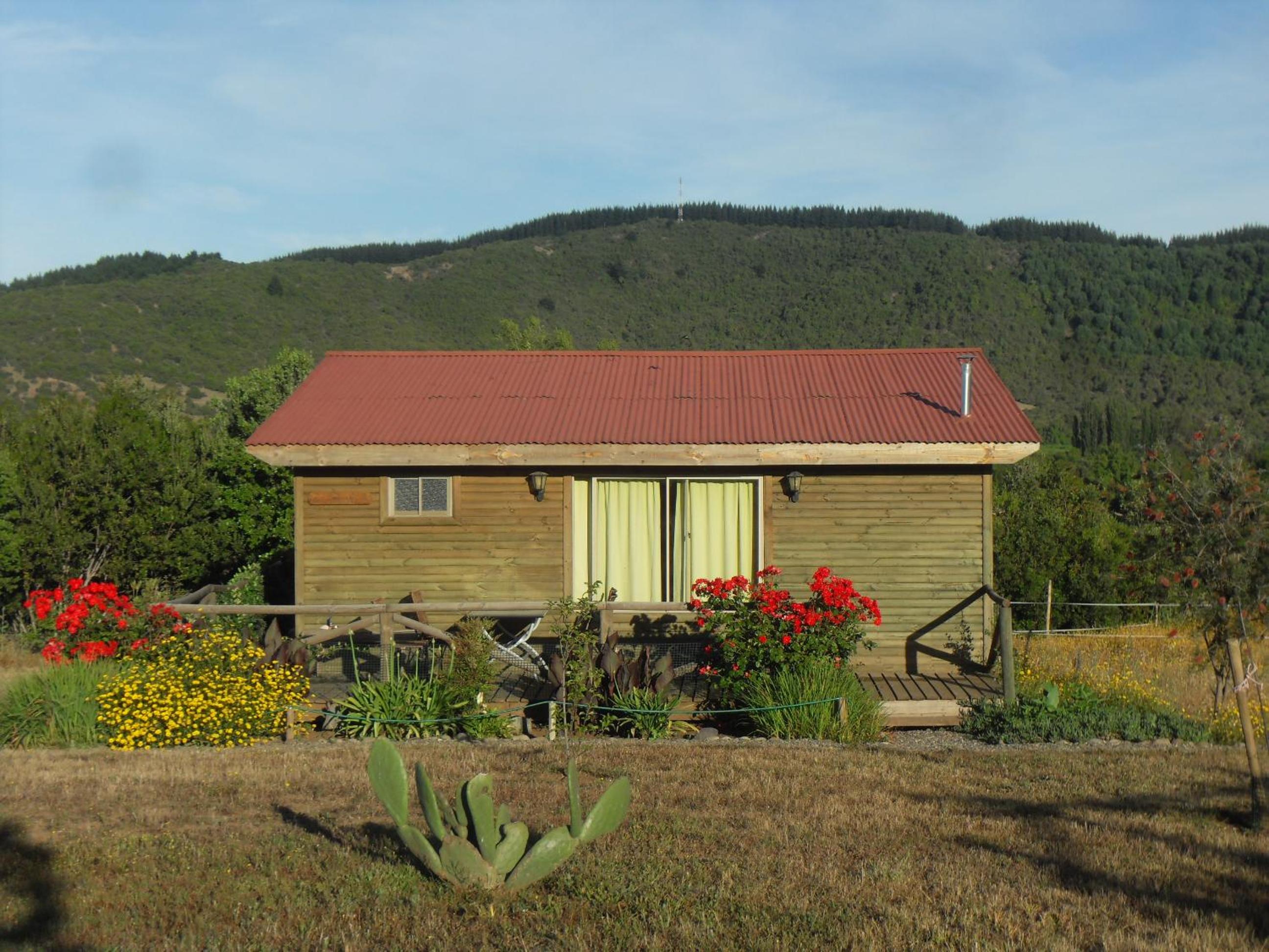 Photo 46