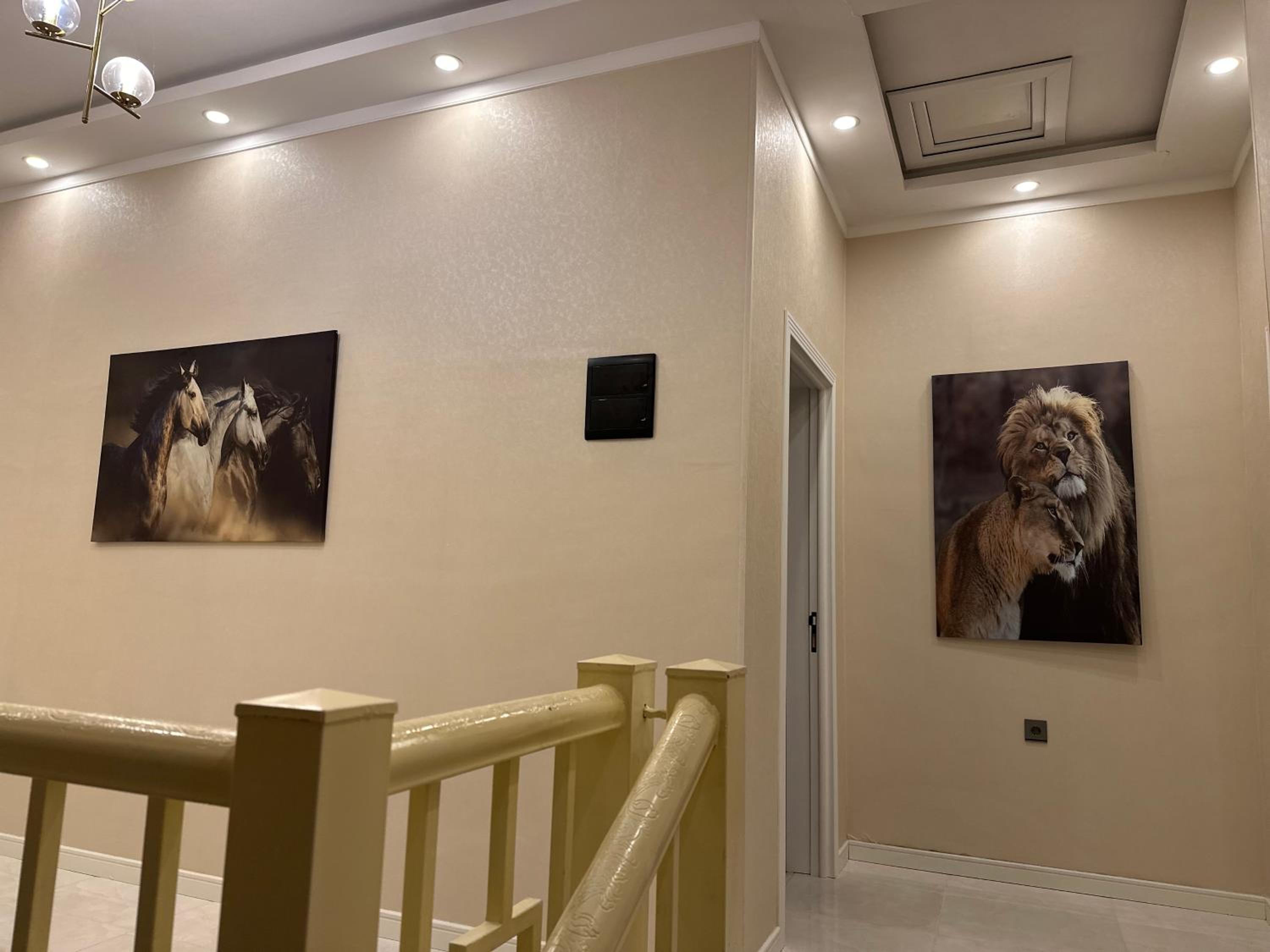 Qabala villa vip