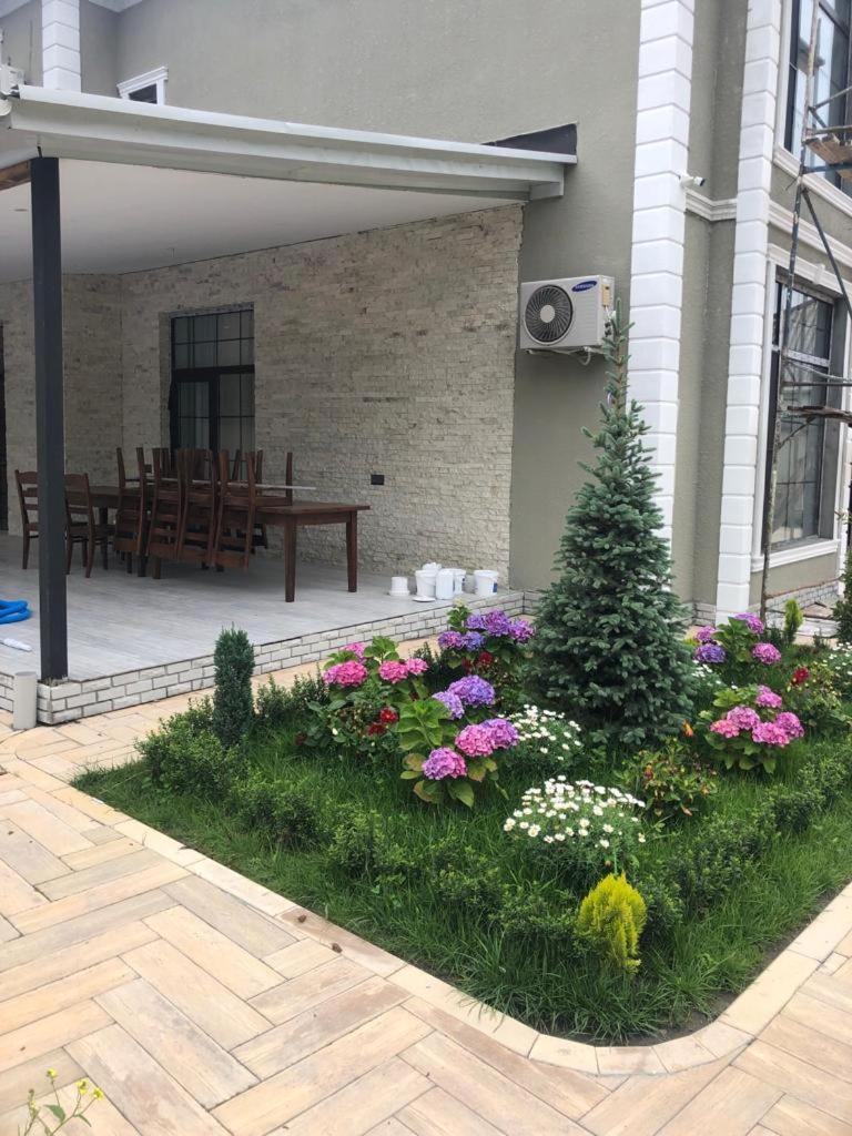 Qabala villa vip