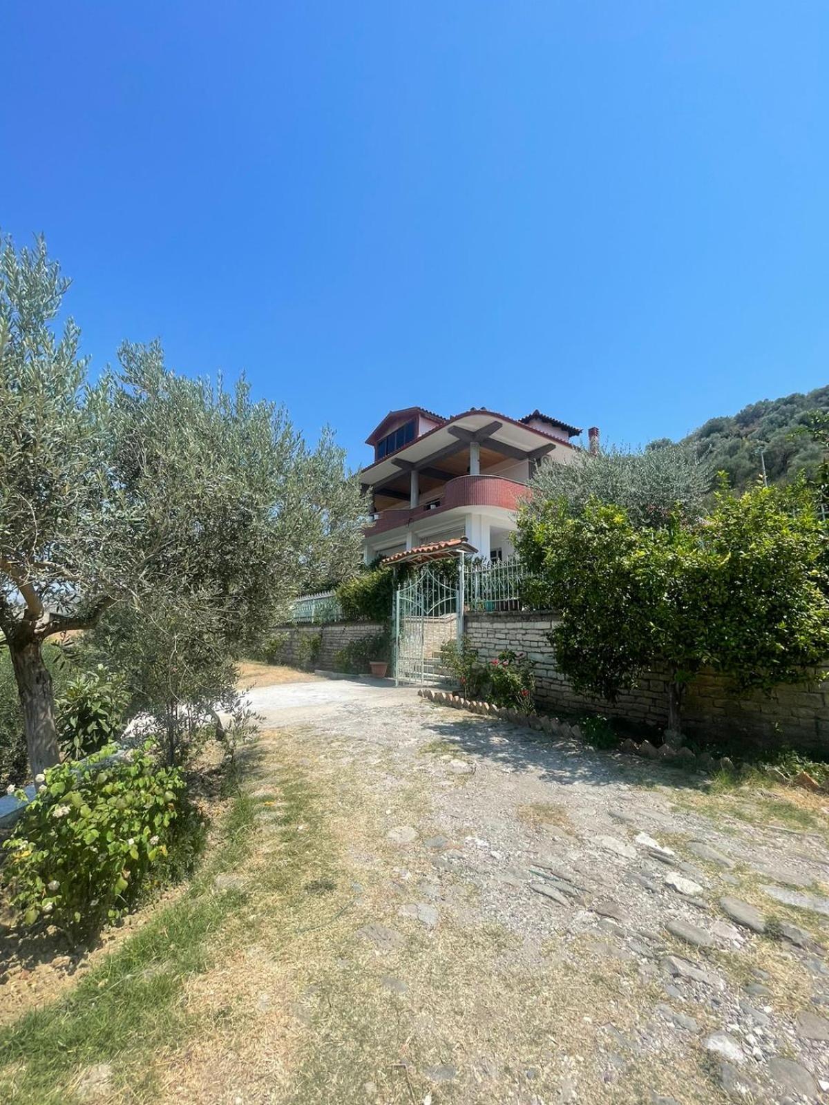 Georgemishel Guest House