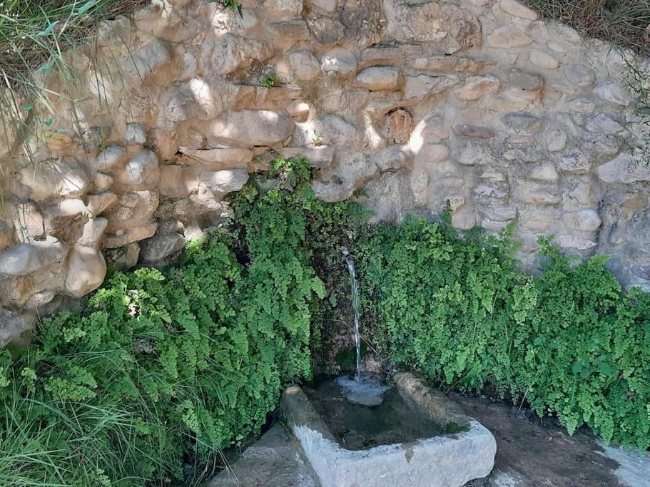 Photo 20