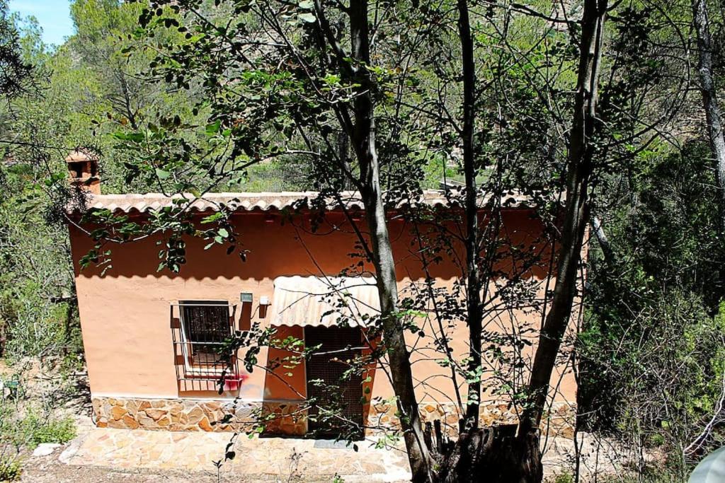 Cozy house on the banks of the Turia river view 5