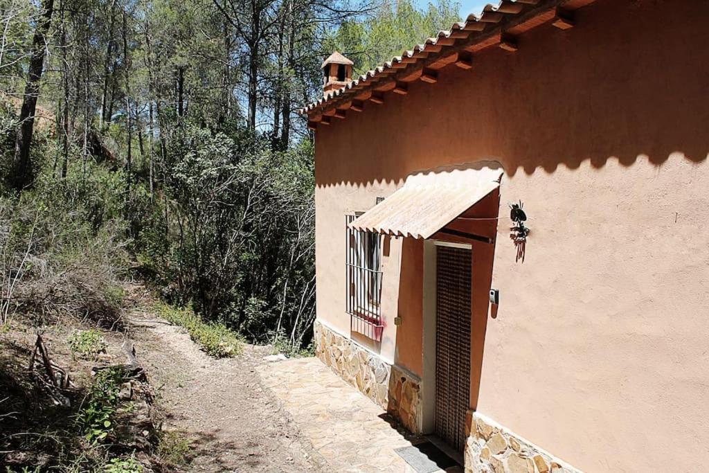 Cozy house on the banks of the Turia river view 4