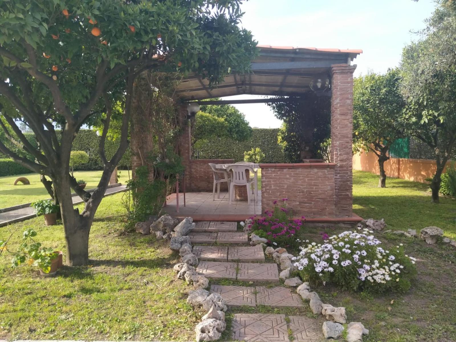 Photo 17